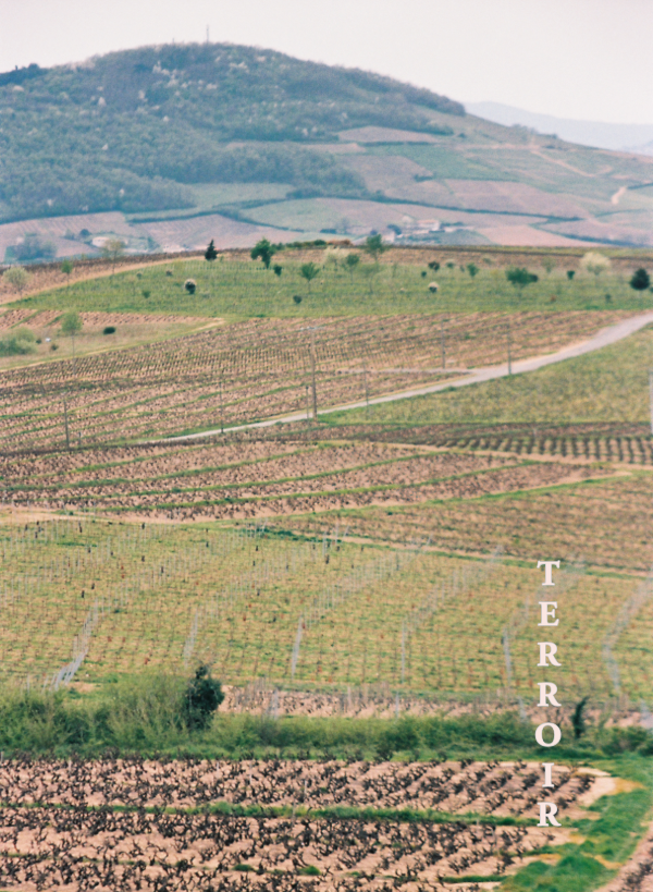 Terroir