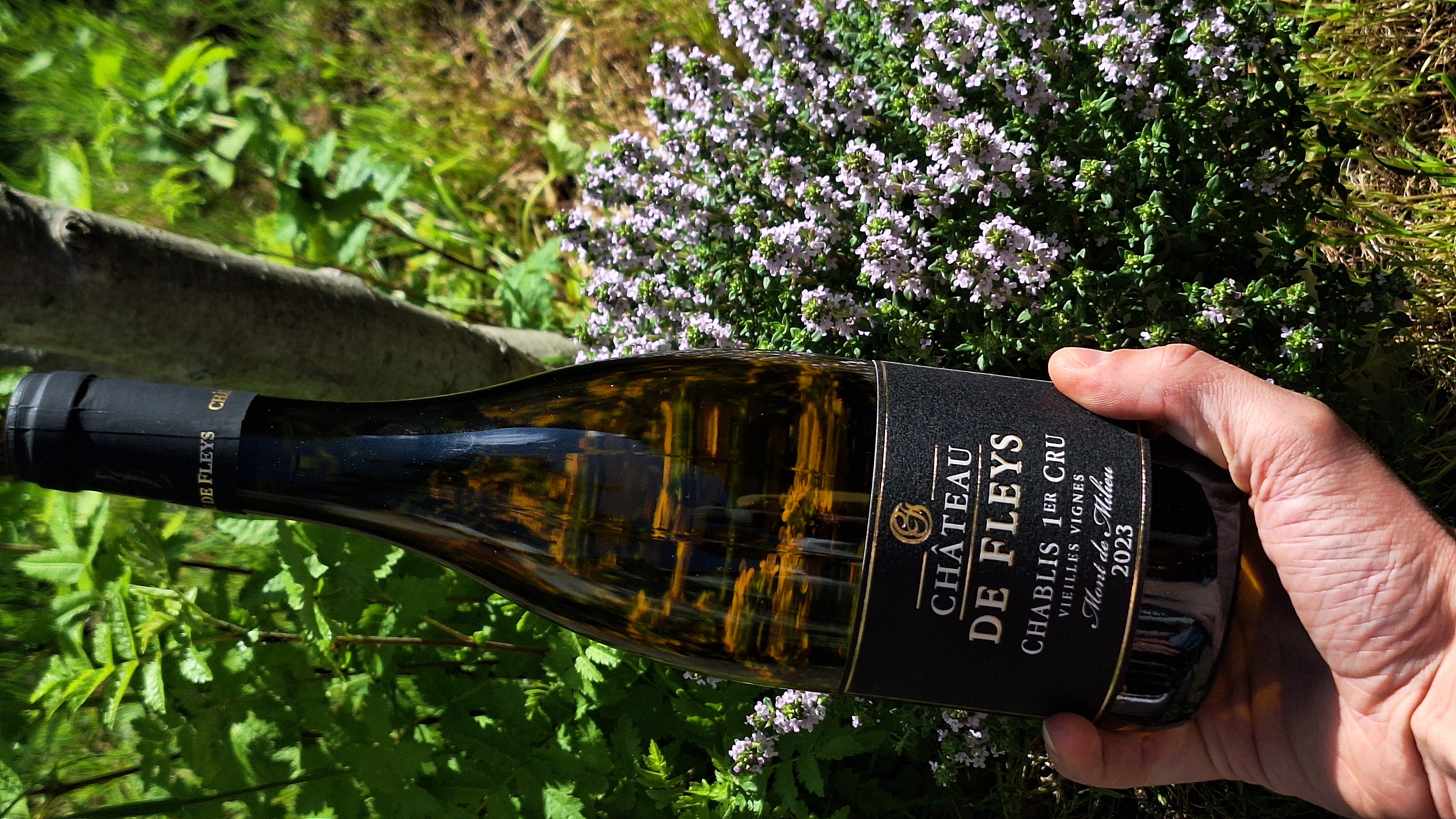 Château de Fleys — Premier Cru Mont de Milieu Vieilles Vignes 2023 (en 2024)