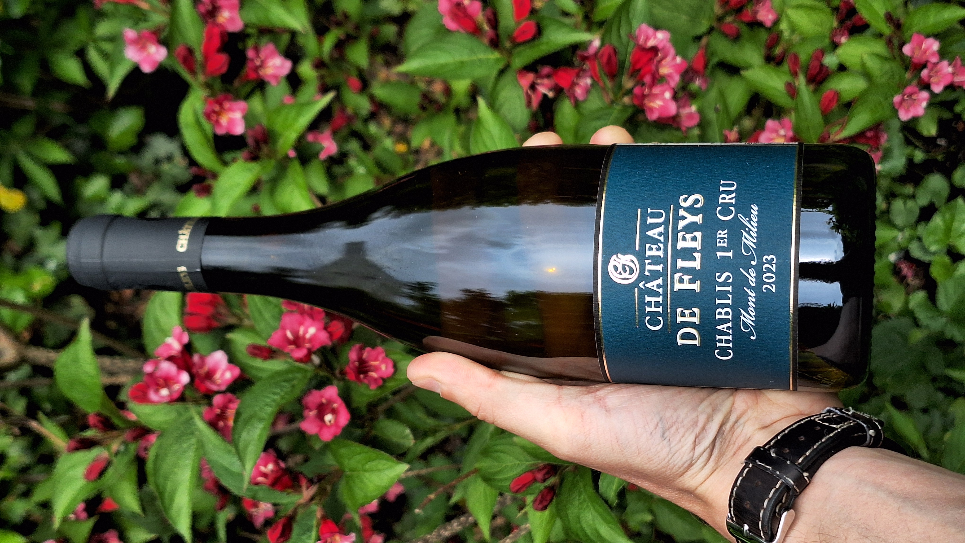Château de Fleys — Chablis Premier Crus 2023  Mont des Milieux