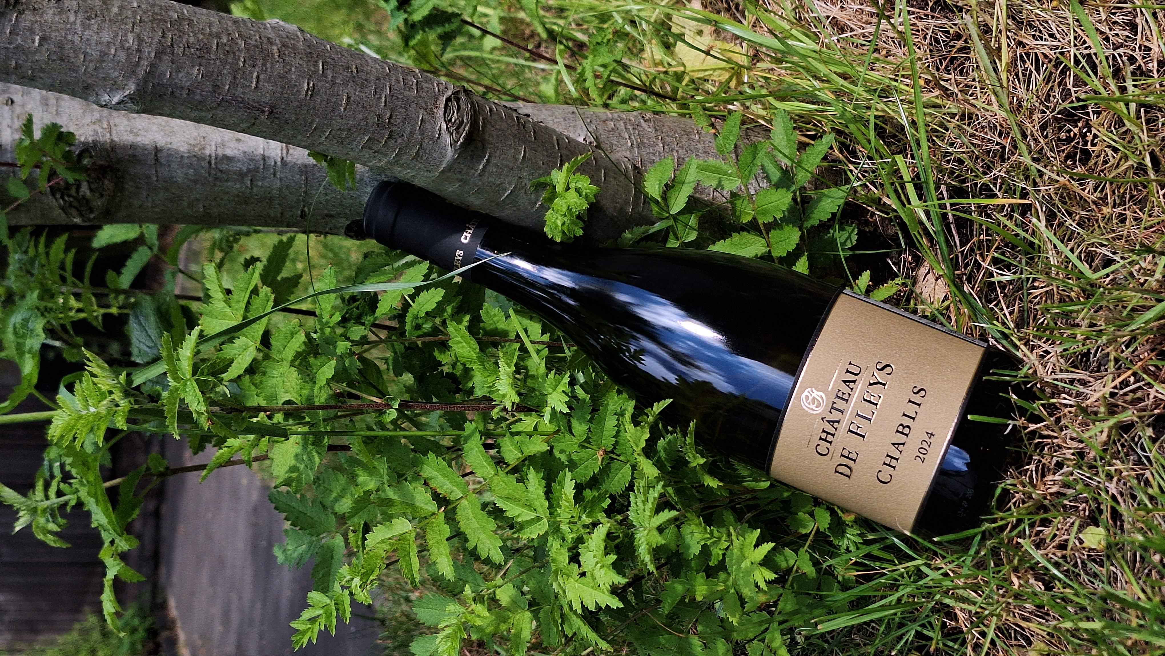 Château de Fleys — Chablis 2024