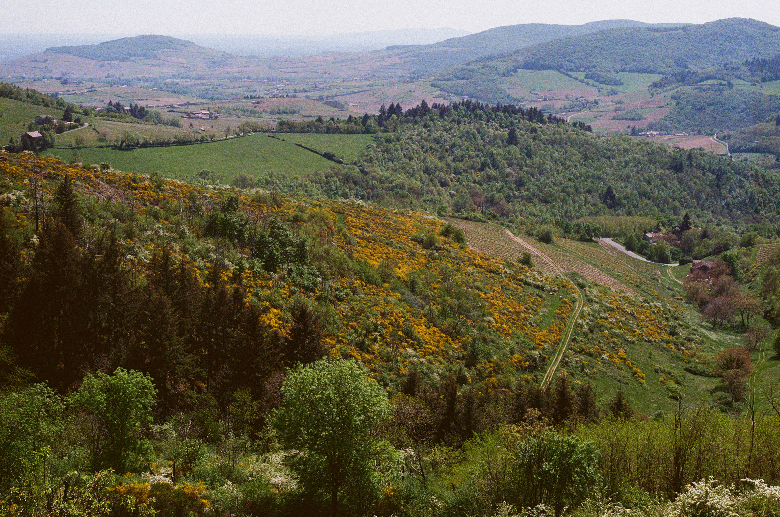 Mont Brouilly