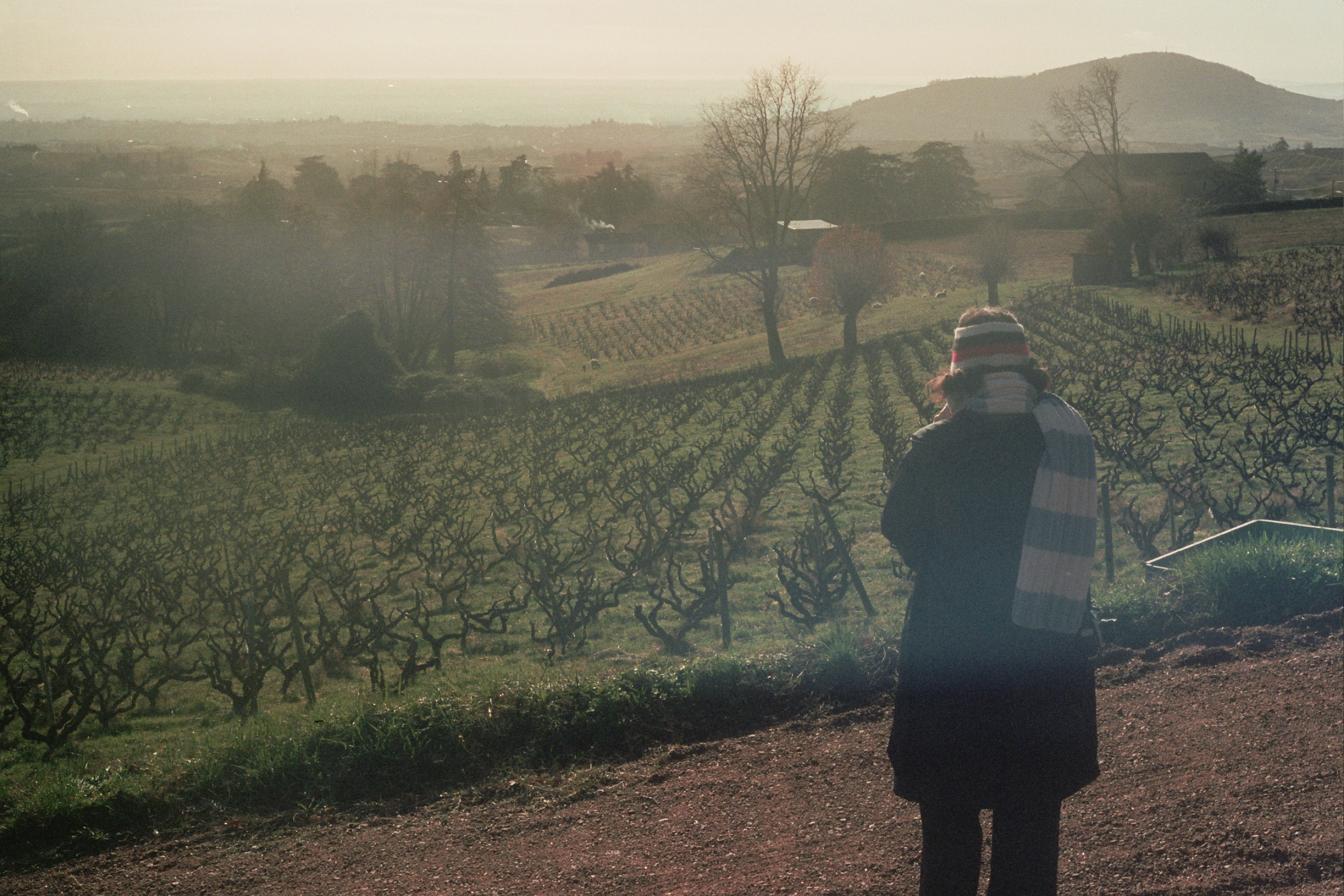 Mont Brouilly
