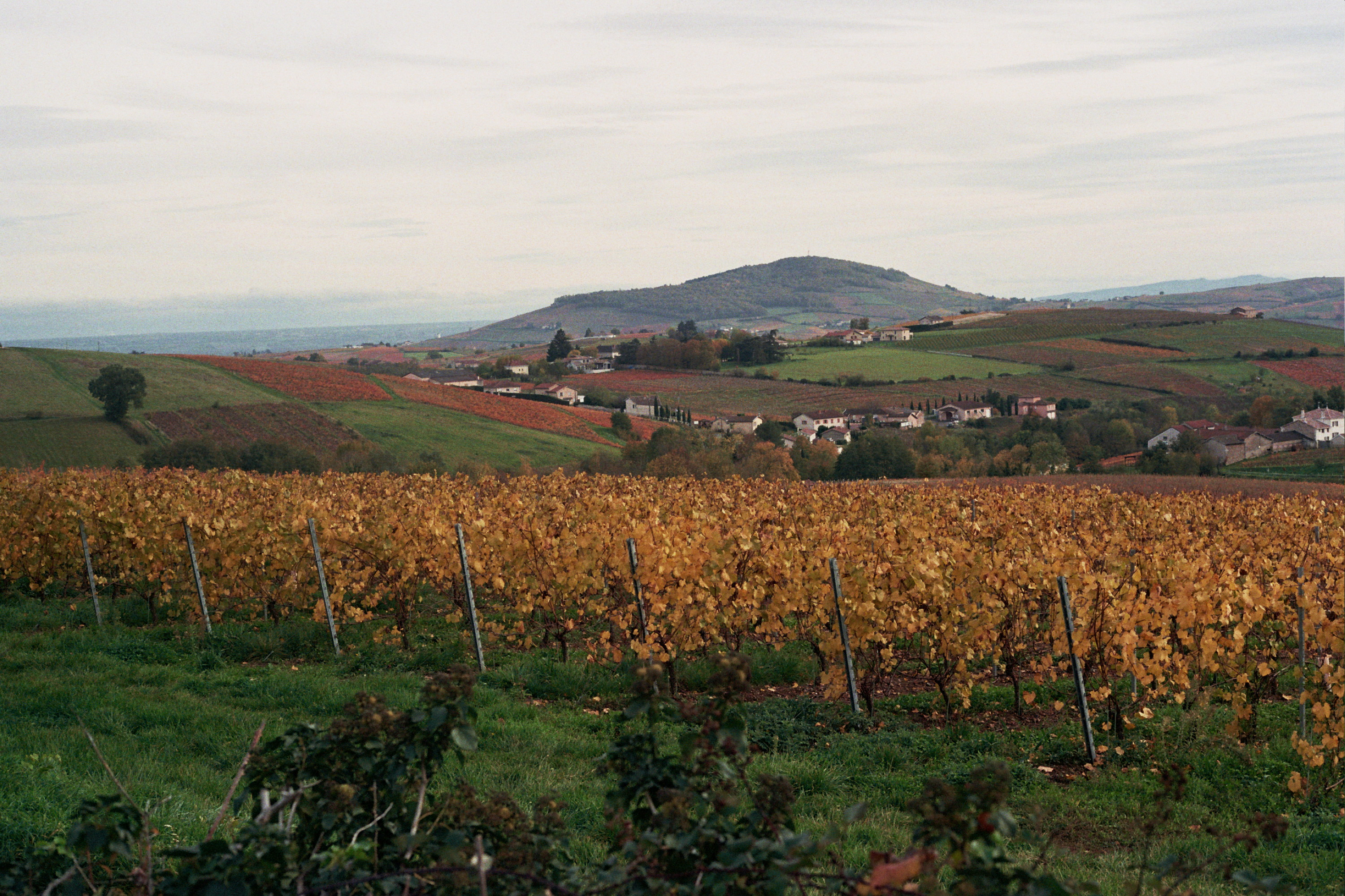 Mont Brouilly