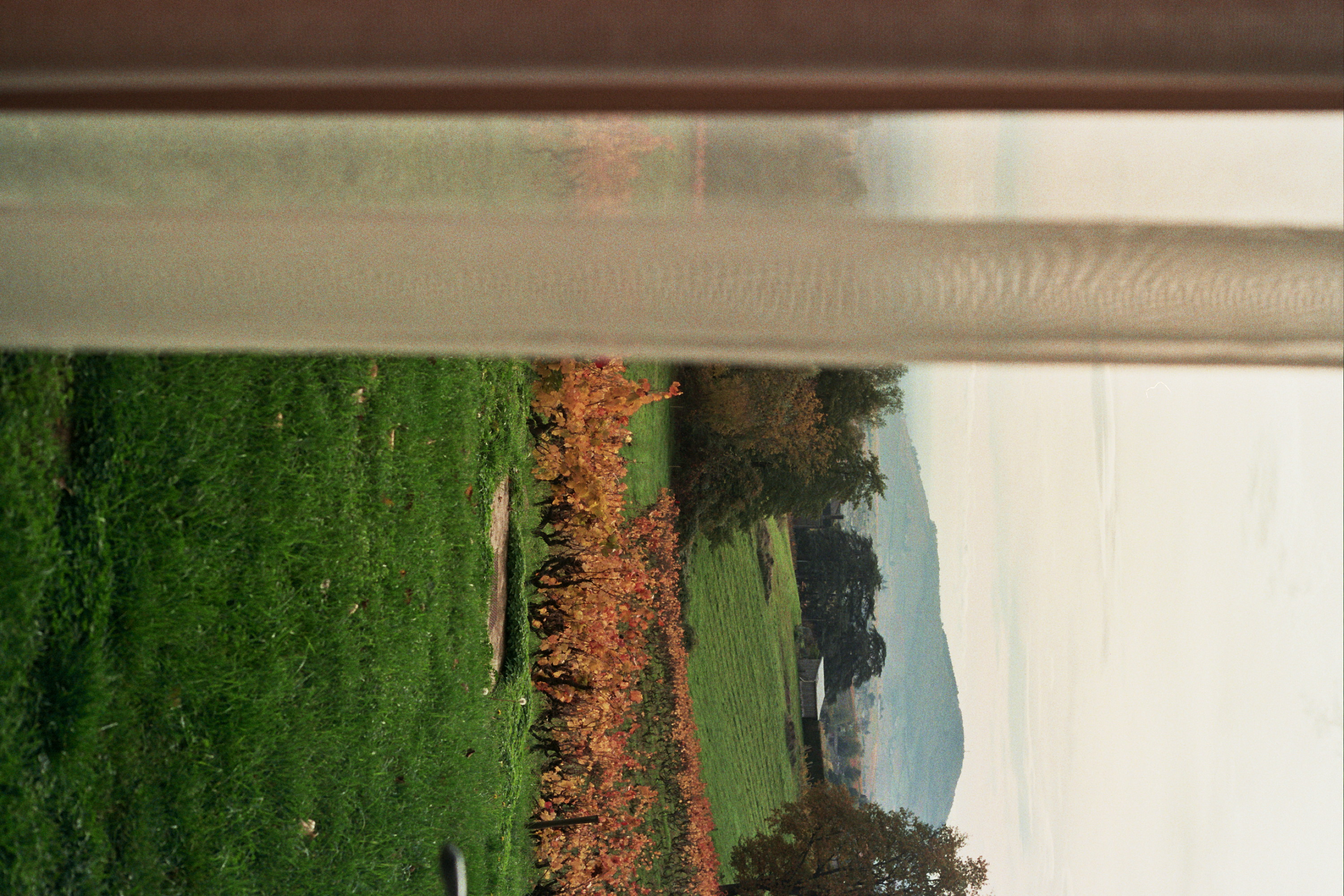 Mont Brouilly