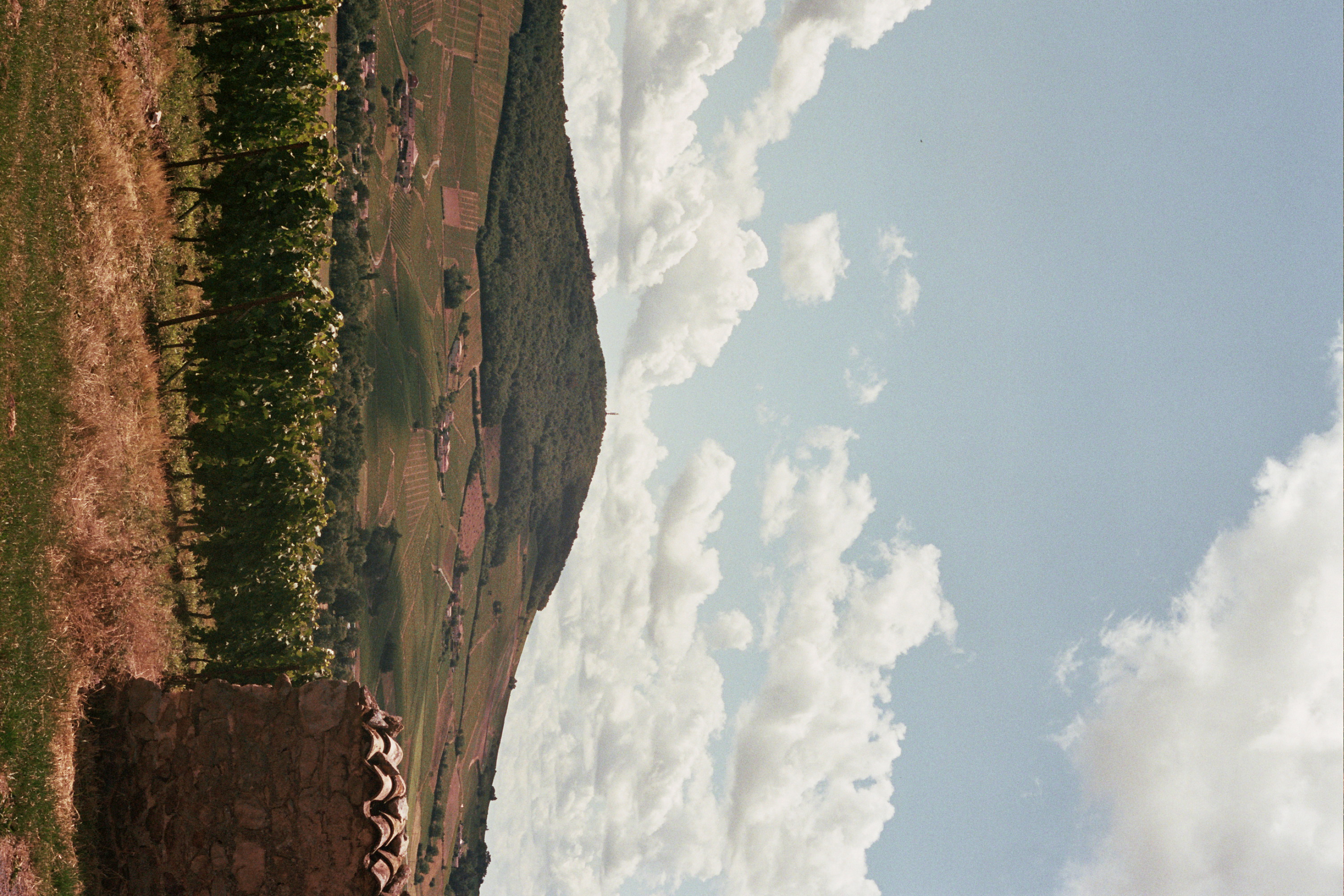 Mont Brouilly